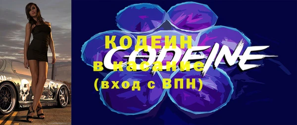 соль ск Заводоуковск