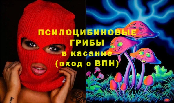 соль ск Заводоуковск