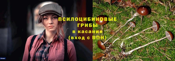 таблы Зеленокумск