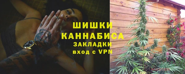 МДПВ Ельня