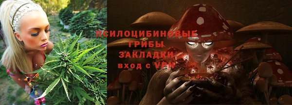 соль ск Заводоуковск