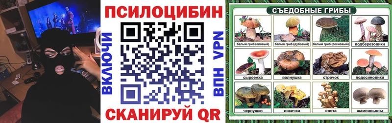 Купить закладки  Кольчугино  Псилоцибиновые грибы GOLDEN TEACHER 